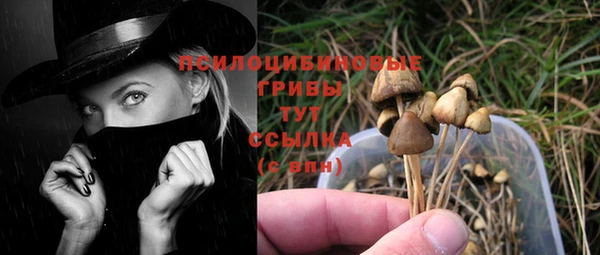 шишки Абдулино