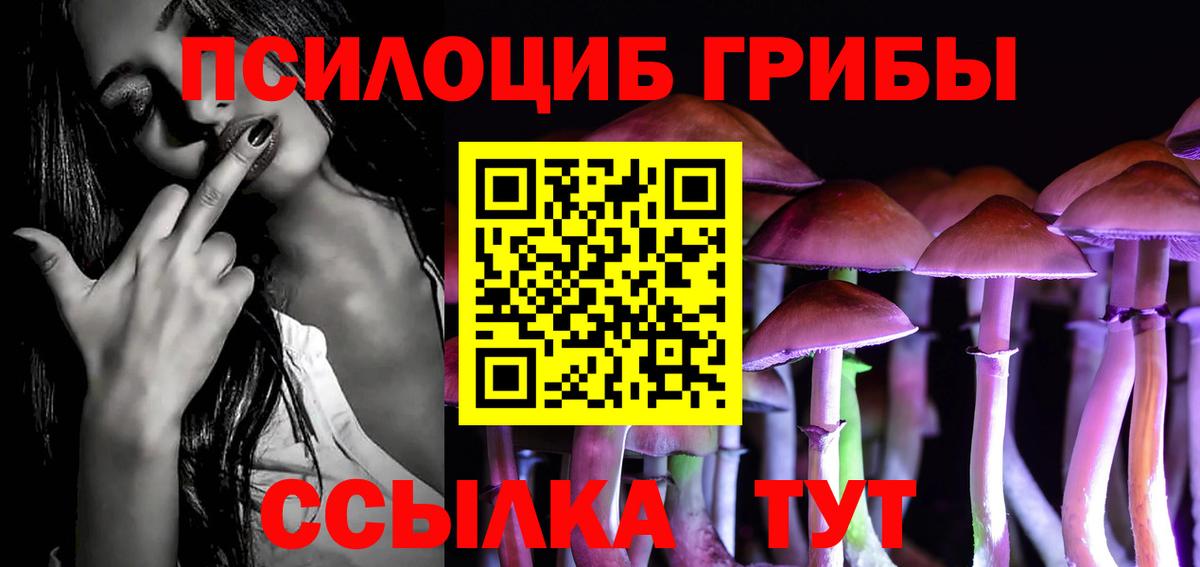 Галлюциногенные грибы GOLDEN TEACHER Вологда