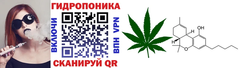 Бошки Шишки VHQ  Вологда 